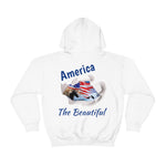 America the Beautiful Unisex Heavy Blend Hooded Sweatshirt