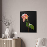 Winter Rose Canvas Stretched, 0.75"