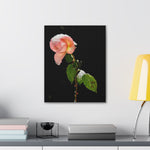 Winter Rose Canvas Stretched, 0.75"