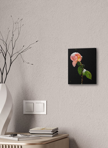 Winter Rose Canvas Stretched, 0.75"