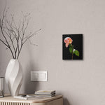 Winter Rose Canvas Stretched, 0.75"