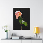 Winter Rose Canvas Stretched, 0.75"