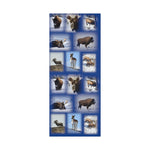Blue Background American Wildlife Gift Wrap Papers