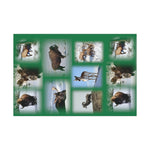 Green Background American Wildlife Gift Wrap Papers