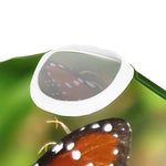 Butterfly Unisex Cut & Sew Tee (AOP)