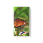 Butterfly Phone Flip Cases