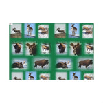 Green Background American Wildlife Gift Wrap Papers