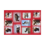 Red BackGround American Wildlife Gift Wrap Papers