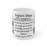 Bighorn Ceramic Mug 11oz