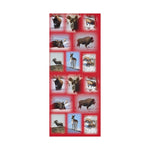 Red BackGround American Wildlife Gift Wrap Papers