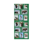 Green Background American Wildlife Gift Wrap Papers